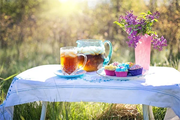 多年草で手間いらず！夏中咲く花7選